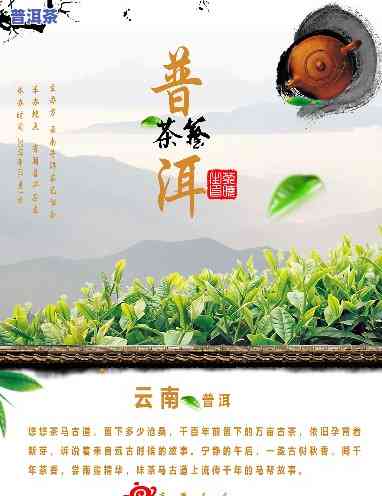 小微普洱茶宣传-小普洱茶推荐