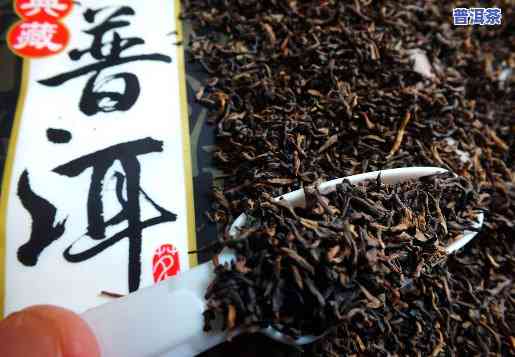 普洱茶属于哪种茶类，探究普洱茶的分类：它属于哪种茶类？