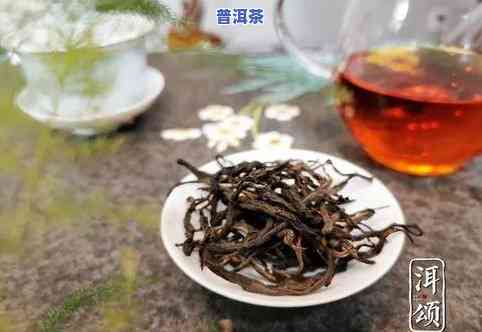 普洱茶属于哪种茶性，揭秘茶叶世界：普洱茶究竟属于哪一茶性？