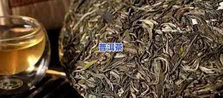 普洱茶和新茶的区别和功效-普洱茶和新茶的区别和功效一样吗