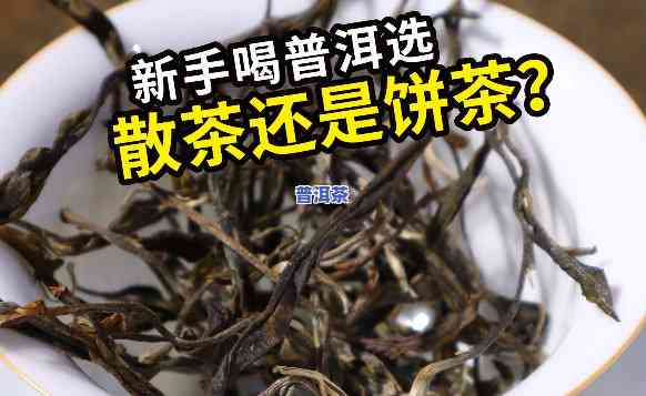 普洱茶是新茶好还是老茶好，普洱茶：新茶与老茶，哪一种更好？