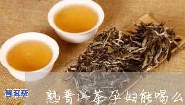 孕妇可以喝普洱茶熟茶吗？从早到晚的作用解析