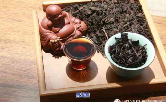 千年老妖普洱茶怎样冲泡，千年老妖普洱茶：冲泡指南与技巧