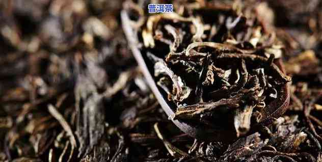 普洱茶出来多少年了还能喝了，普洱茶：历史悠久，能否继续饮用？