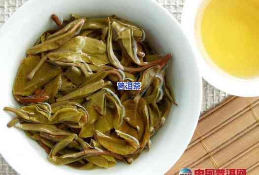 勐海朗河茶业，探索云南特色：深入熟悉勐海朗河茶业的历史与文化