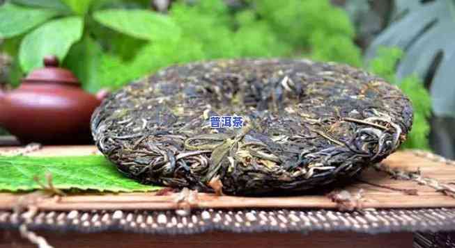 普洱老茶是什么茶？详解其种类与特点