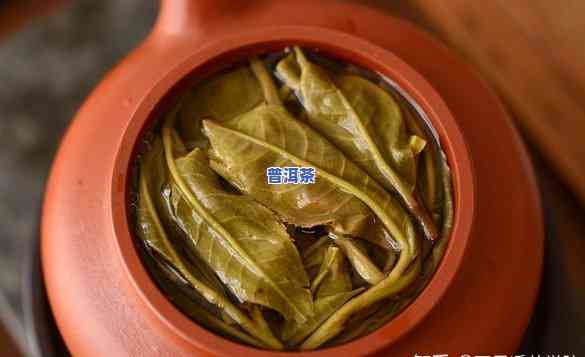 普洱茶春茶与秋茶叶底对比，春华秋实：普洱茶春茶与秋茶叶底的鲜明对比