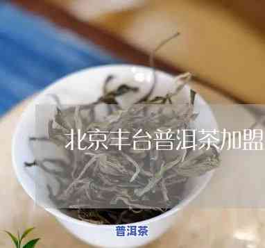 北京丰台普洱茶加盟-北京丰台普洱茶加盟电话