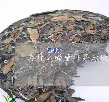 为什么普洱茶闻起来有股尿骚味，揭示普洱茶的特别气息：为何闻起来像尿骚味？