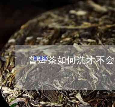 普洱茶杯黑色沉淀去除方法大全