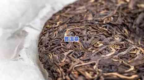 普洱茶长虫了还能喝吗，普洱茶出现虫害，是不是还能饮用？