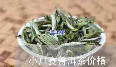 小户赛普洱茶价格，最新小户赛普洱茶市场价格一览