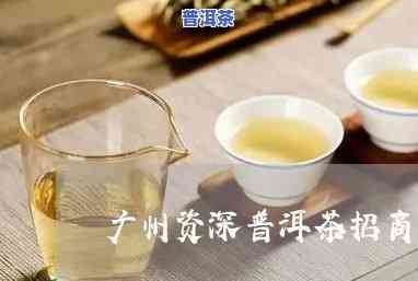 广州靠谱普洱茶招商-广州普洱茶