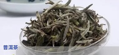 广州靠谱普洱茶招商-广州普洱茶