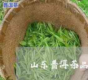 山东靠谱普洱茶招商-山东的普洱茶是哪家