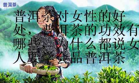 女人常喝普洱茶的好处与坏处-女人常喝普洱茶的好处与坏处有哪些