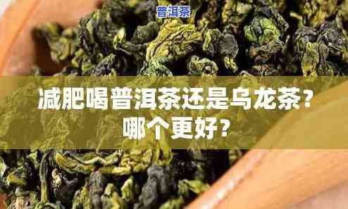 普洱茶和乌龙茶哪种适合减肥-普洱茶和乌龙茶哪种适合减肥喝