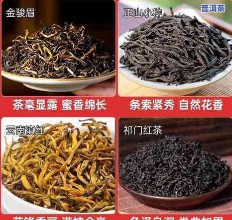 云南滇红介绍：深入熟悉名茶的魅力与文化