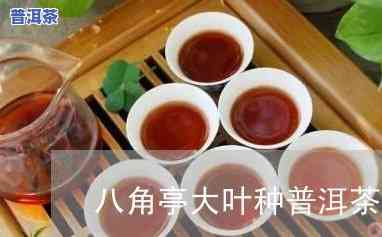 八角亭只做普洱茶吗-八角亭只做普洱茶吗