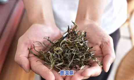 普洱茶料是一级好还是十级好-普洱茶料是一级好还是十级好呢