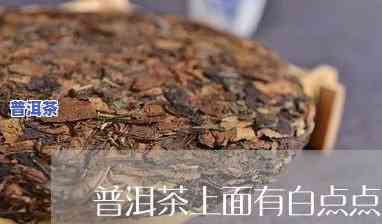 普洱茶饼上面有白点还能喝吗-普洱茶饼上面有白点还能喝吗图片