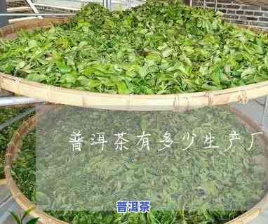 宁德普洱茶生产厂商-宁德普洱茶生产厂商有哪些