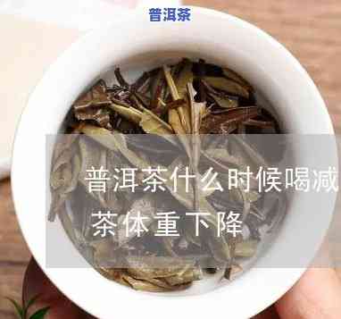 每天喝普洱茶体重下降怎么办-每天喝普洱茶体重下降怎么办呢