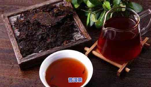 普洱茶用多少度水泡好，「普洱茶」用多少度水泡更好？作用口感的关键因素在这里！