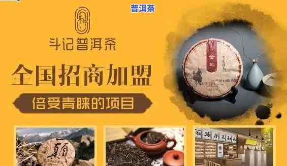 菏泽普洱茶招商加盟：店铺全览与详细地址