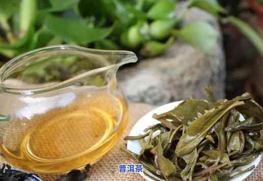 云南哪个山头盛产小叶种普洱茶？种类有哪些？