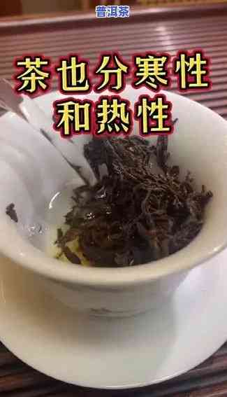 普洱茶是热性还是寒性，普洱茶：它是热性还是寒性？