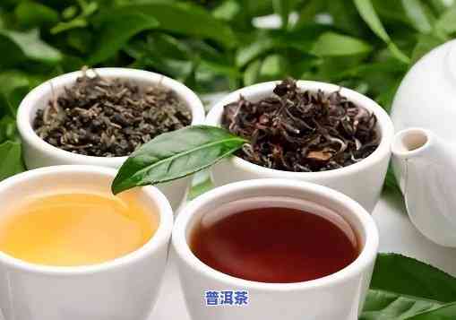 绿茶属于熟茶吗，绿茶是不是属于熟茶？一次全面的解答