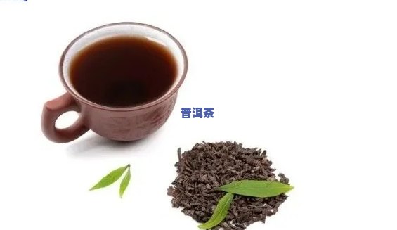 普洱茶是不是刮油脂减肥的茶-普洱茶是不是刮油脂减肥的茶叶