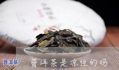 普洱茶是凉性茶吗?-普洱茶是凉性茶吗