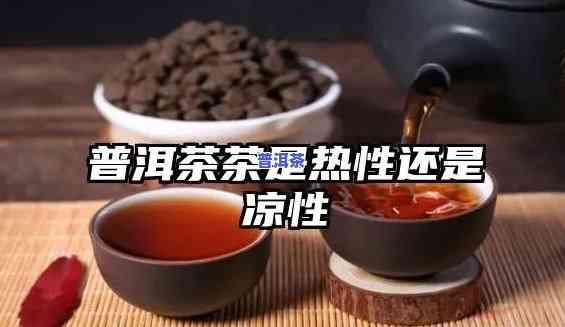 普洱茶是凉性茶吗?-普洱茶是凉性茶吗