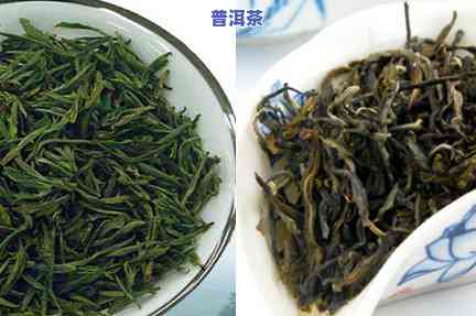 普洱茶之一村在哪里，揭秘普洱茶之一村：你不可错过的茶叶圣地！