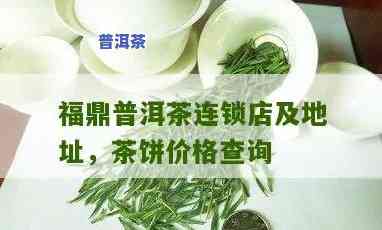 福鼎普洱茶代理招商-福鼎普洱茶饼多少钱