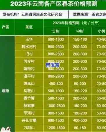 普洱茶代理：价格几折优惠，联系电话查询