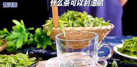 乌龙茶与熟普洱茶刮油效果对比：哪个更胜一筹？