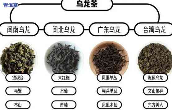 深入熟悉乌龙茶与熟普洱的区别