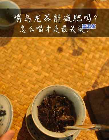 熟普洱和乌龙茶：哪个更能有效减肥？