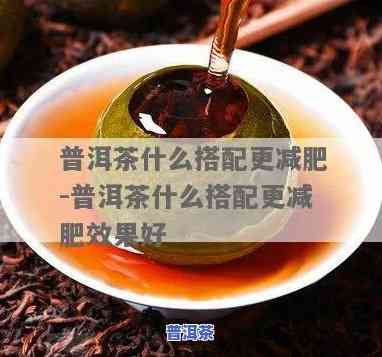 什么普洱茶好喝还减肥效果好-什么普洱茶好喝还减肥效果好呢