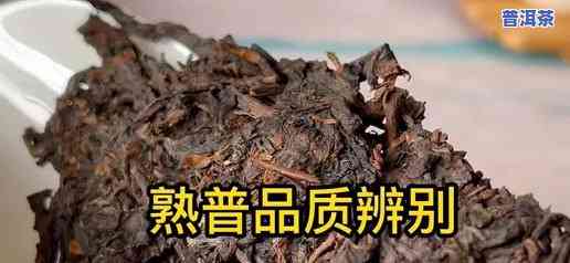 普洱茶熟茶材质怎么辨别好坏-普洱茶熟茶材质怎么辨别好坏视频