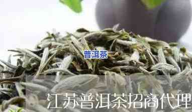 江苏普洱茶代理-江苏普洱茶代理电话