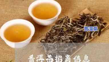 江苏普洱茶代理-江苏普洱茶代理电话