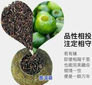 小青柑普洱茶保质期多久？功效、价格全解析