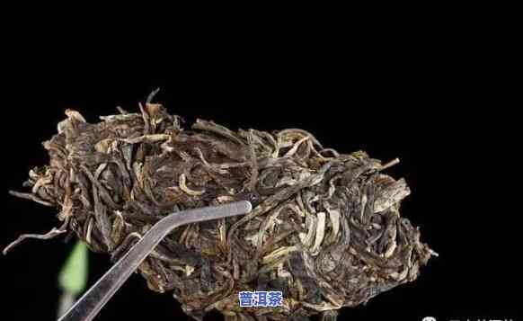 普洱茶白霜和霉变的区别：怎样区分？