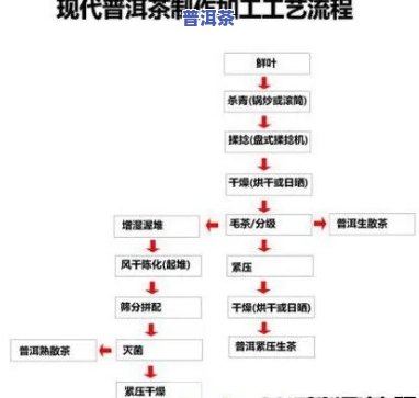 小青柑普洱茶制茶工艺流程图解大全视频