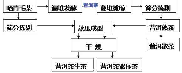 熟普洱茶加工工艺流程图片与价格一览