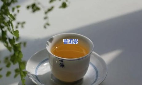 普洱茶有什么作用和功效与禁忌，普洱茶：作用、功效与禁忌全解析